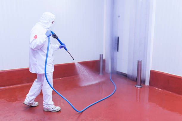 Professional Pressure Washing Services in Southgate, FL